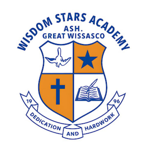 Wisdom Stars Academy
